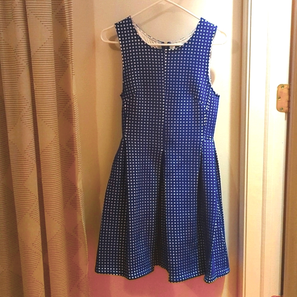 Blue Rain Blue and White Laser Cut Pleated dress - Medium